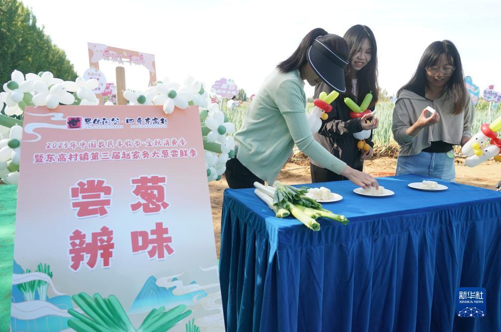 多宝捕鱼官方网站